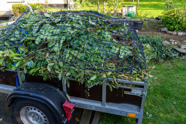 Shed Removal in Troy, OH